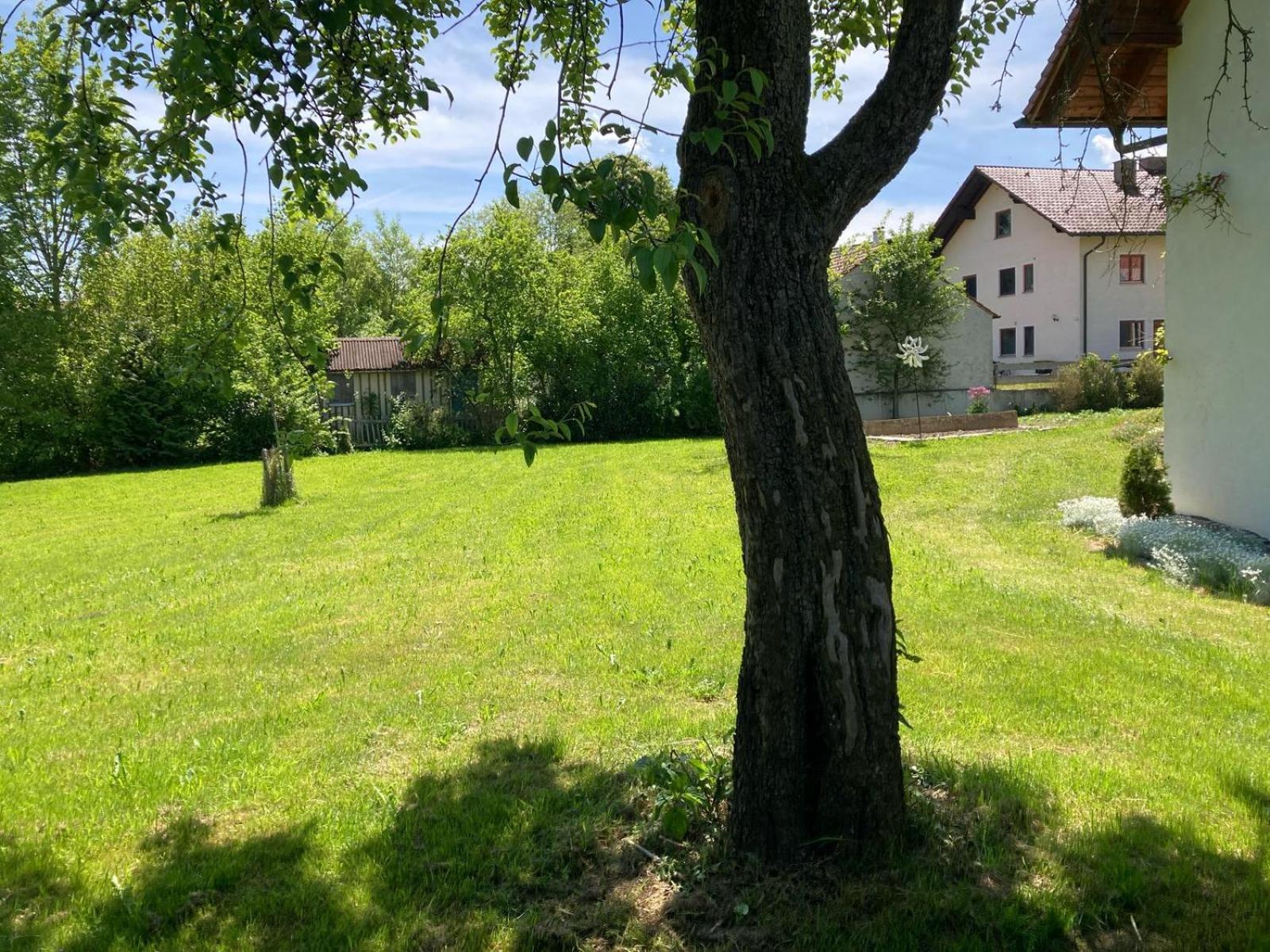 Ruhige Ferienwohnung Inklusive Garten Souterrain - Neu Renoviert Lachen Екстер'єр фото